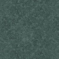 ttCARA-CD4820 SLATE